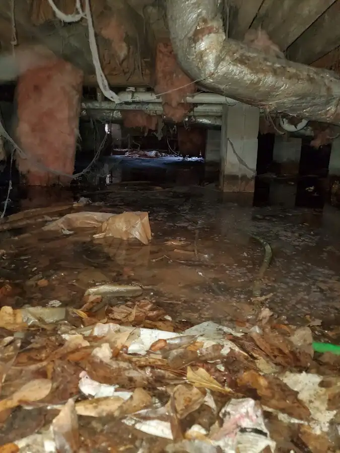 Crawl space flood assessment for Leak Detection & Repair in Brandon